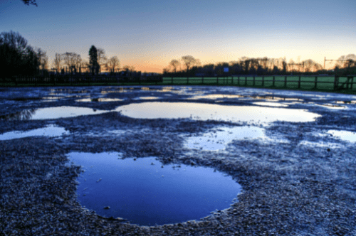 Frozen wetland with circular ice formations at dawn, trees visible along the horizon.