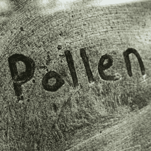 Pollen on a car window spelling out 'pollen'